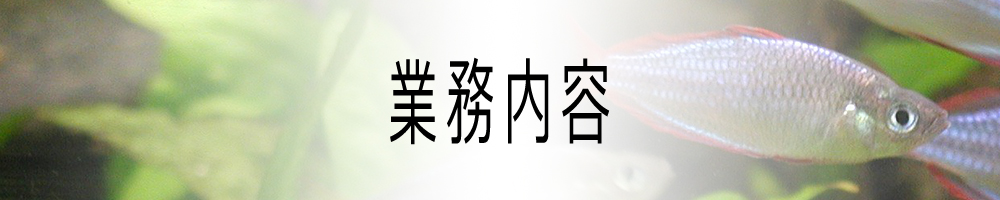 業務内容