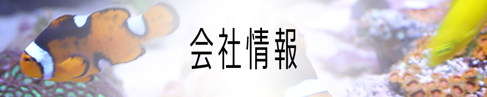 会社情報
