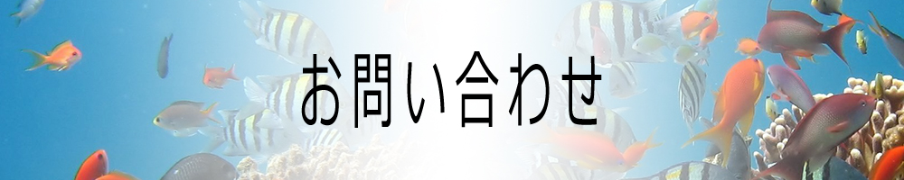 お問い合わせ画像