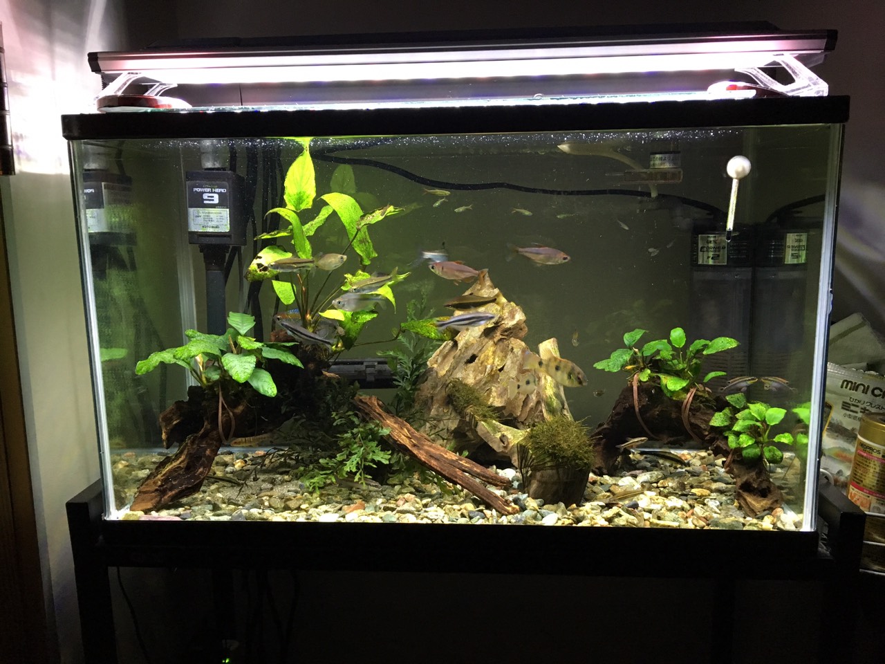 デフォルト背景画像